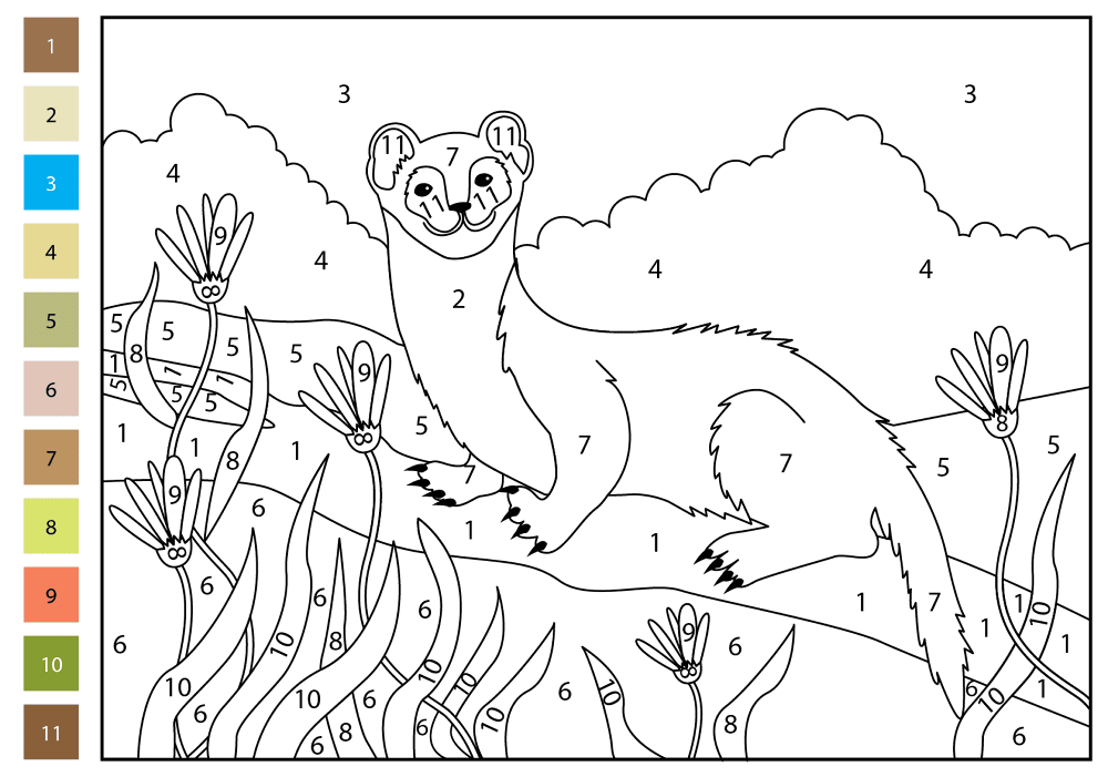Weasel Color By Number Coloring Page Md Coloring Page — Free Printable — free printable coloring page